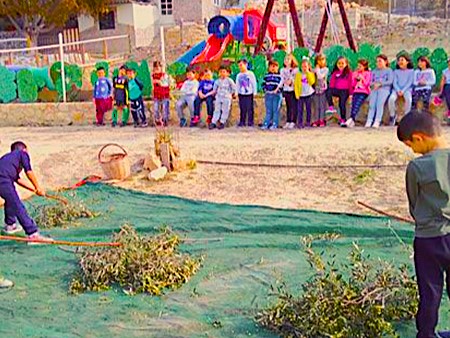 Activities Image 1