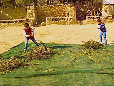 Activities Image 2