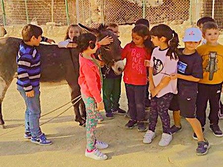 Activities Image 4