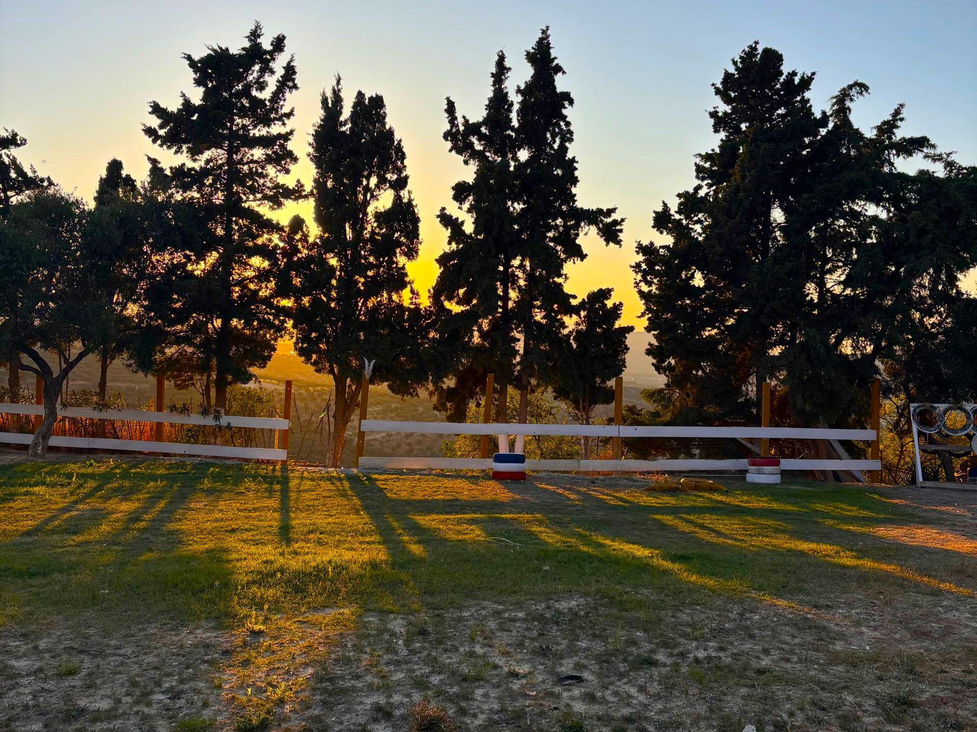 Farm Image 7