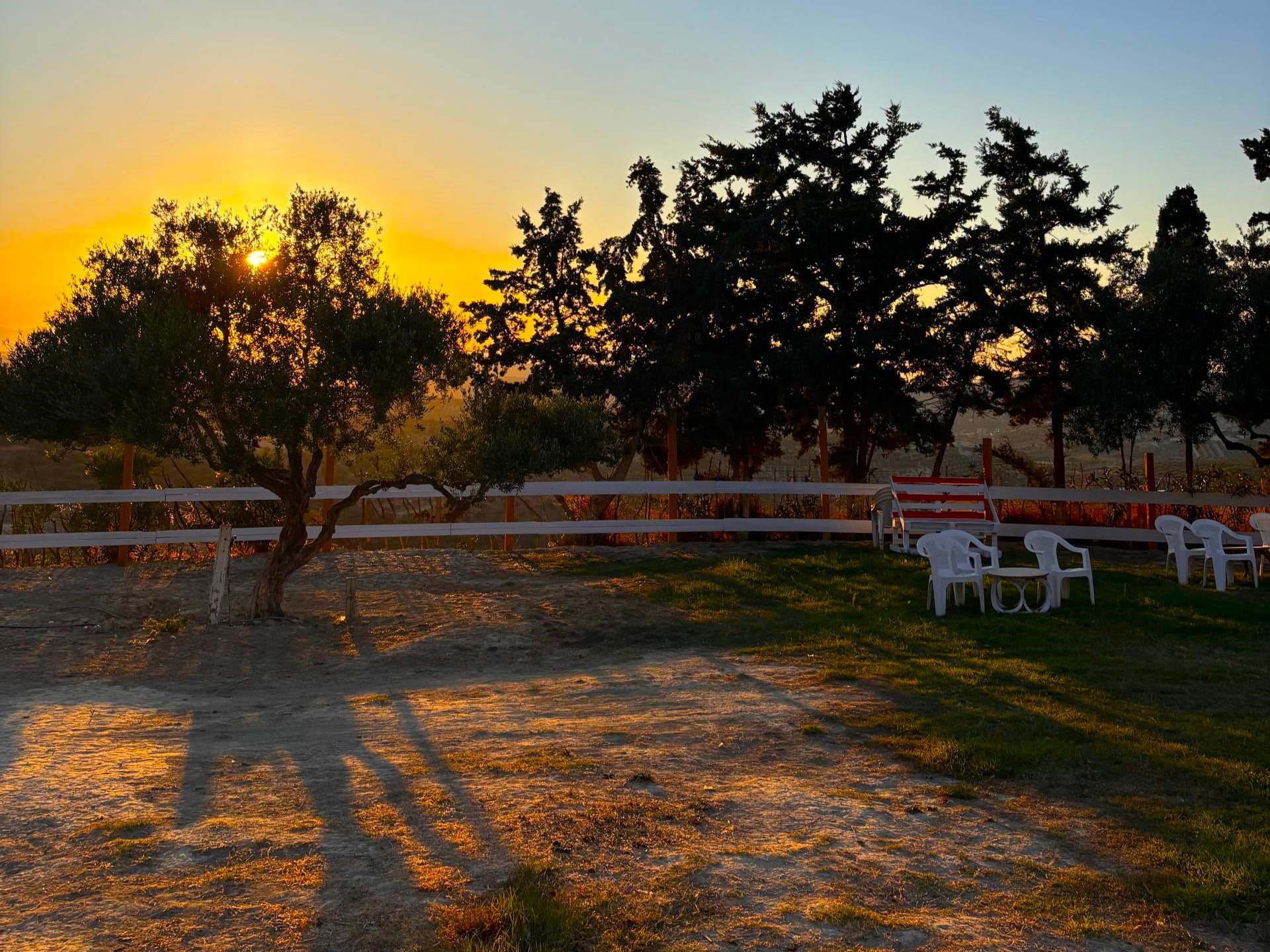 Farm Image 8